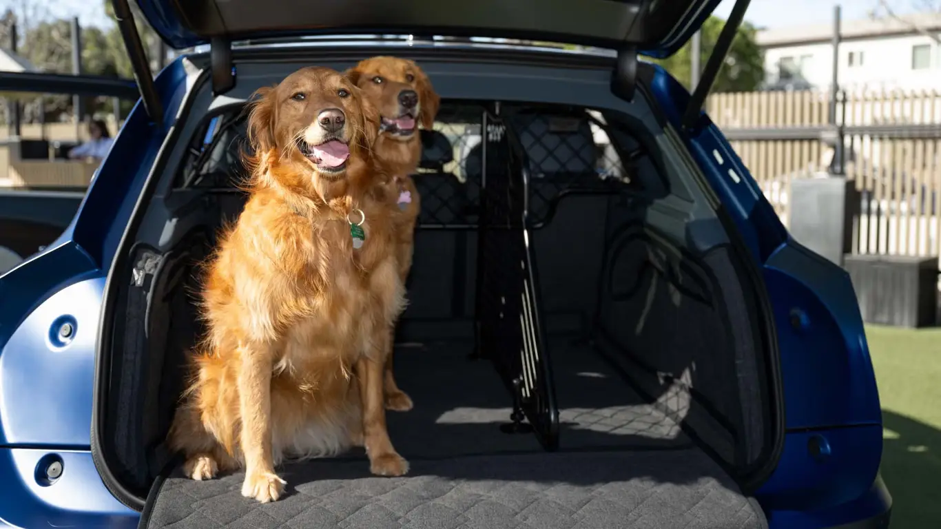Аксессуары для перевозки собак в машине