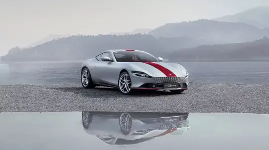 Итальянским скакунам санкции не страшны: в России появился породистый жеребец