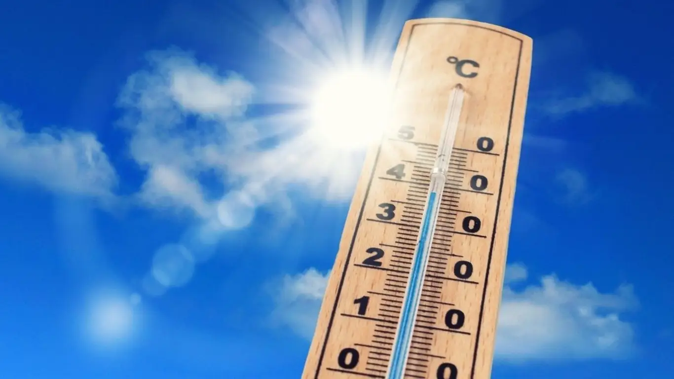 Таксисты об этом не расскажут: 4-5 взмахов дверями помогут охладить салон машины за 10 секунд