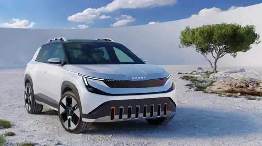 «Электромобили — не догма»: глава Skoda поставил ультиматум зеленым фанатикам