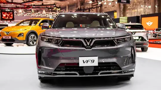 Гарантия, которую Канада не видела раньше: амбициозный вьетнамский бренд нашел чем удивить