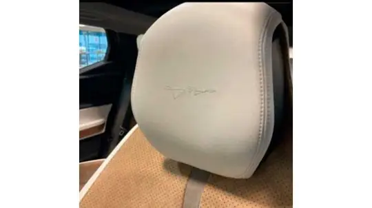 Предстоящая Tesla Model Y получит очень роскошного соперника