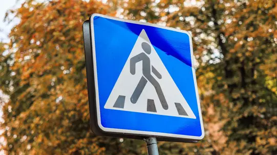 Пешеходы под прицелом: треть ДТП в России связана с их нарушениями