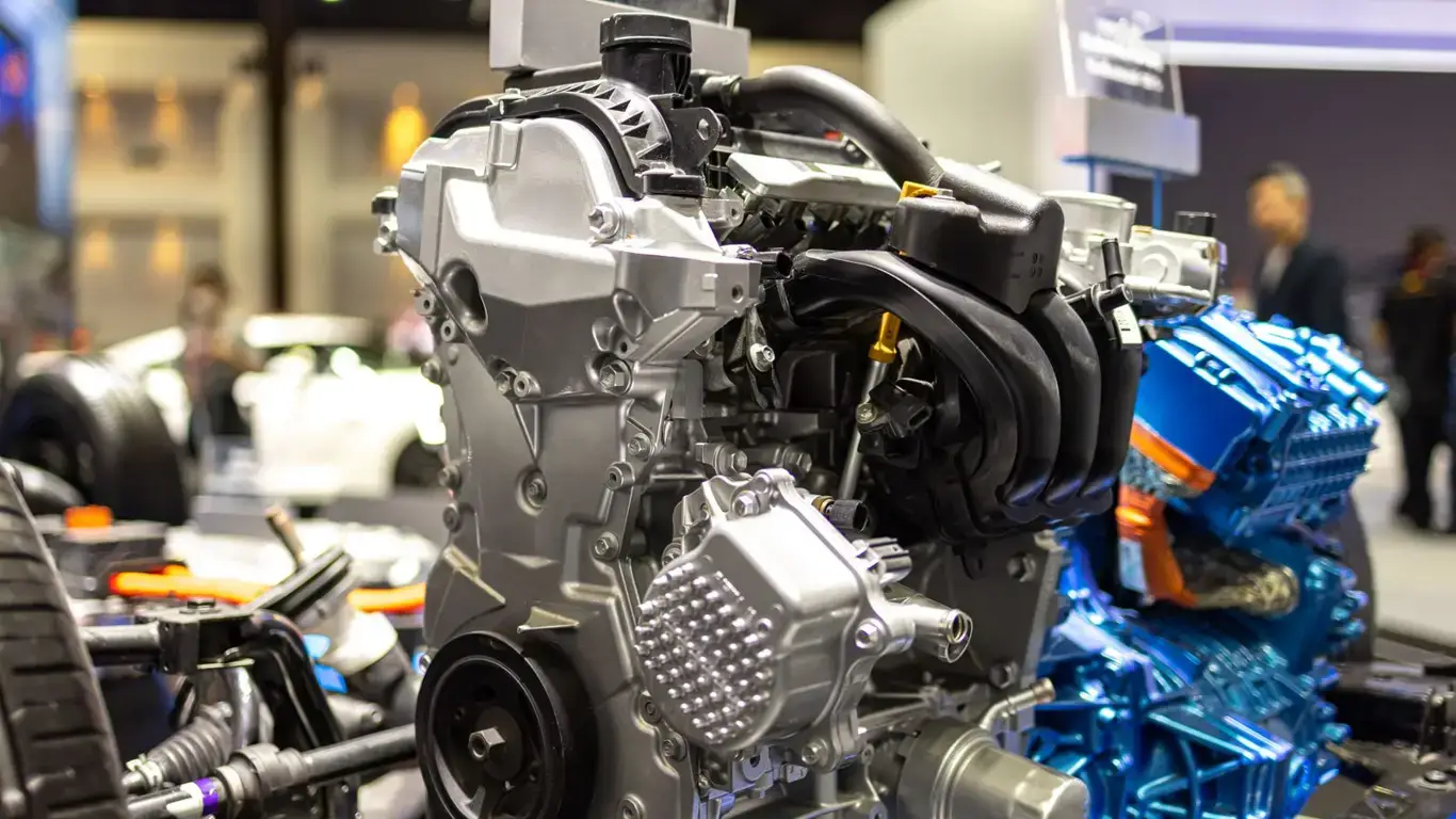 Россия против Европы: тренд, который делает нас разными