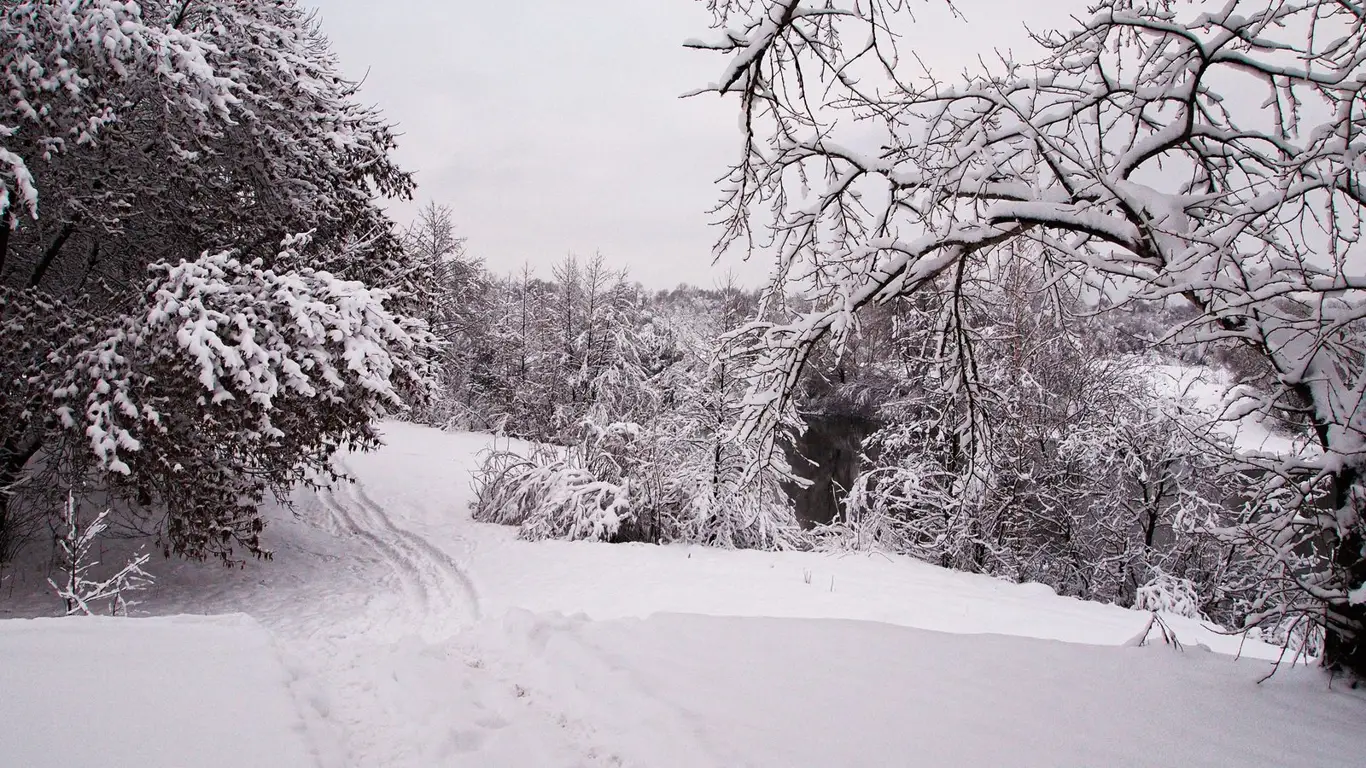 Мгновение, когда лето теряет сцепление: зима подкрадывается тихо, но беспощадно