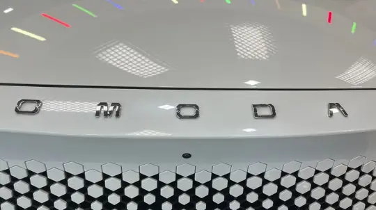 Нервная история: в России запустили отзыв из-за риска при срабатывании airbag