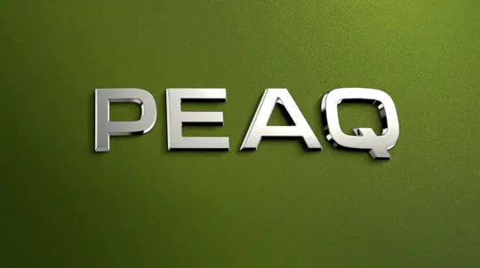 Skoda раскрыла имя нового электрического флагмана с семью местами