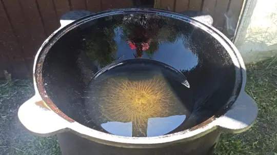 Этот индикатор испугает каждого водителя: что делать если загорелся датчик давления масла