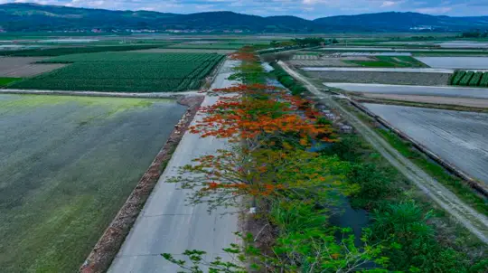 Китай расчищает место для умных автомобилей