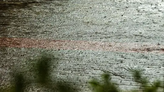 Автомобиль во время грозы может помочь: эксперты все рассказали