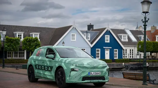 Skoda описала новую модель с помощью фламинго и крючкообразного узора: что придумали чехи