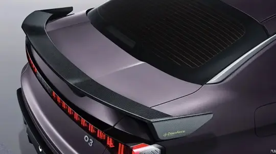 Чемпион нечемпионского цвета: китайцы сходят с ума в погоне за модой