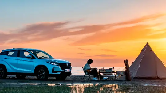 Гибриды в России не в моде: один автопроизводитель переориентировал производство