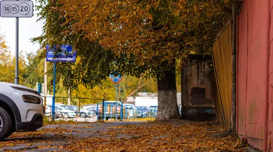 Главная проблема осени: водители забывают об этой ежедневной процедуре