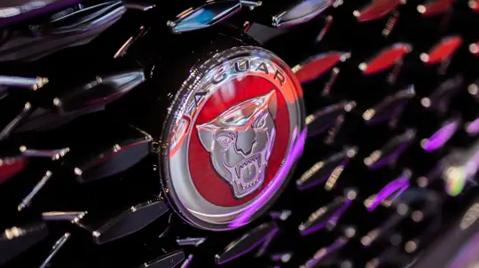 Дикая кошка прощается: больше года мы не увидим новых автомобилей Jaguar